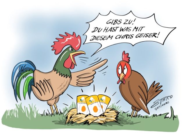 Eifersüchtiger hahn