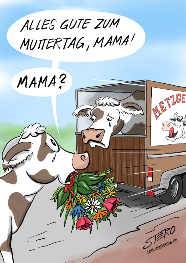 Cartoon-Karikatur-Comic---Éine Kuh wünscht mit einem Blumenstrauß ihrer Mutter alles Gute zum Muttertag, doch diese wird bereits weinend vom Metzgerwagen abgeholt.