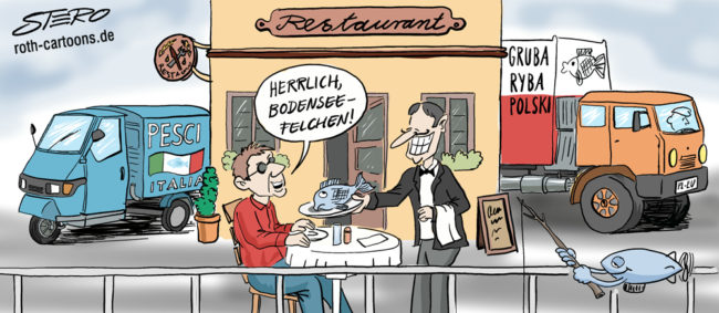 Cartoon-Karikatur-Comic---Ein Restaurant serviert einem Gast sein Bodenseefeilchen. Doch direkt neben dem Restaurantgebäude parken schon dessen Zulieferer aus Polen und Italien.