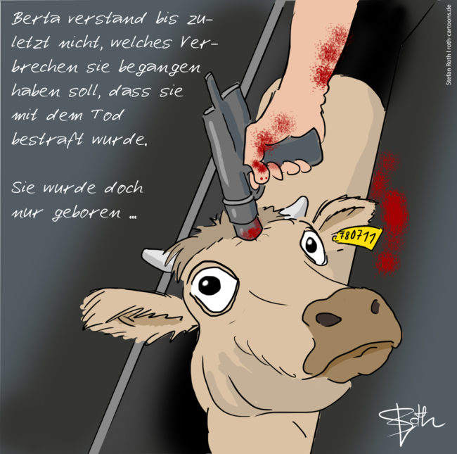 Cartoon-Karikatur-Comic---Eine Kuh schaut verängstigt zu der Person den ihr den Bolzen mit blutiger Hand an den Kopf hält.