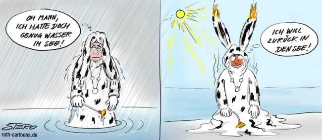 Cartoon-Karikatur-Comic---Auf der linken Seite ist der Seehas im Regen und will in die Sonne. Auf der rechten Seite ist er dann geschmolzen und brennend in der Sonne und wünscht sich seine Pfütze zurück.