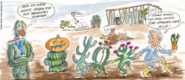 Kakteen die vor der drohenden Gefangenschaft fliehen