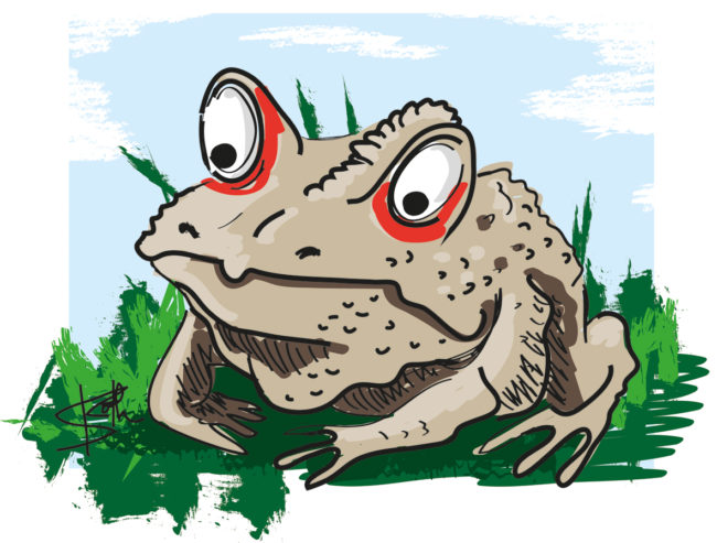 Illustration einer Kroete