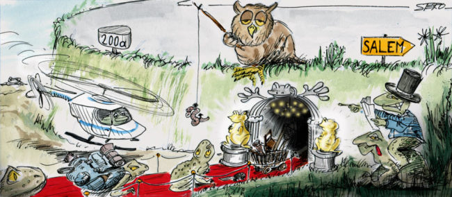 Cartoon-Karikatur-Comic---Mehrere Kröten stehen vor einem Tunnel mit rotem Teppich und vergoldeten Statuen.