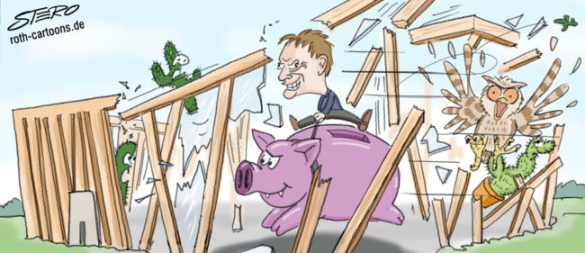 Cartoon-Karikatur-Comic---Ein Mann auf einem wilden Sparschwein zerstört grinsend ein Pflanzenhaus für Kakteen.