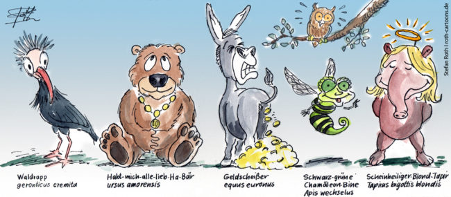 Cartoon-Karikatur-Comic---Nach dem Waldrapp kommt nun auch ein Kuschelbär, ein Goldesel, eine schwarz-grüne-chamäleon Biene und ein scheinheiliger blond Tapir nach Überlingen.