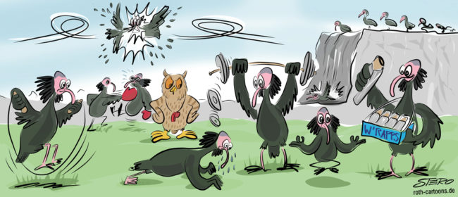 Cartoon-Karikatur-Comic--- Sehr viele Waldrapp-Vögel machen im Wald verschiedenste Aktivitäten. Zwei Boxen, Einer springt Seil, einer macht Liegestütze,...