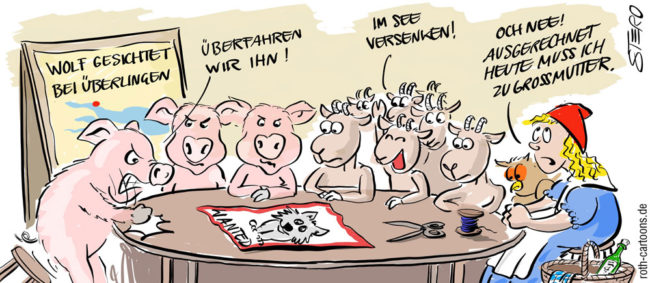 Cartoon-Karikatur-Comic---An einem Runden Tisch beraten sich die 3 Schweinchen, mehrere Ziglein und das Rotkäppchen was gegen den Wolf der am Bodensee gesichtet wurde unternommen wird. Die Schweine wollen ihn überfahren, die Ziglein versenken und das Rotkäppchen ist geknickt weil Sie doch heute zu ihrer Großmutter wollte.