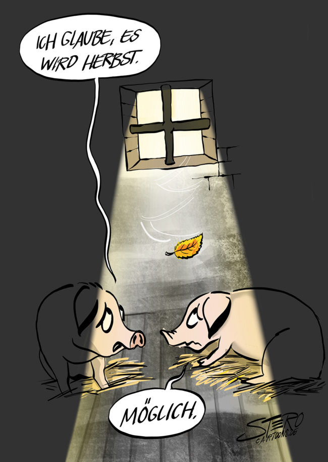 Cartoon-Karikatur. Zwei SChweine in der SChweinemast im Schweinestall mit kleinem Fenster