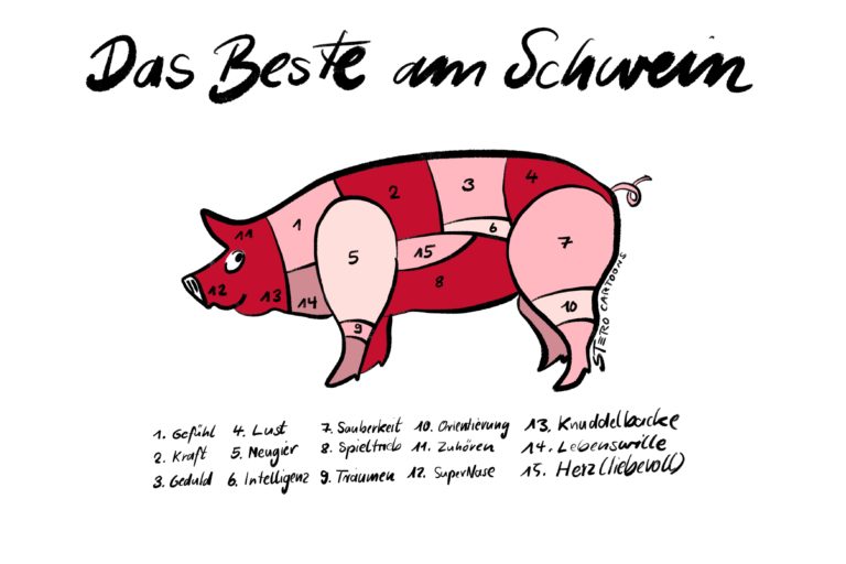 das-beste-am-schwein