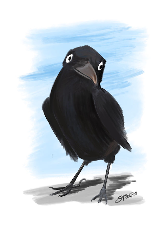 Comic-rabe-illustration-grafik-raven