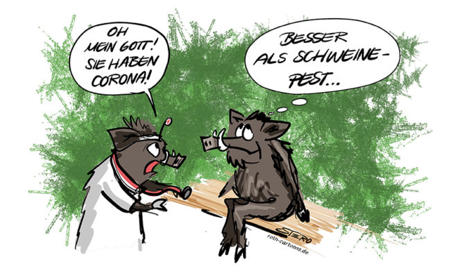 Bild-Comic-Cartoon: Ein Wildschwein sitzt beim Arzt und erfährt, dass es Corona hat. Das Schwein ist glücklich, denn corona ist noch besser als Schweinepest.