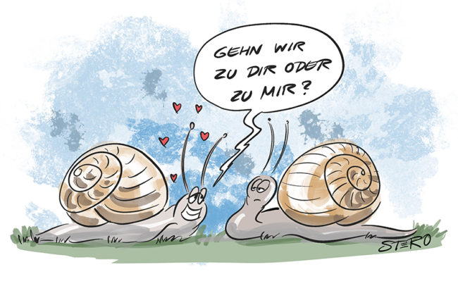 Cartoon zu Dating und Liebe. Eine Schnecke fragt die andere beim Flirten: Zu dir oder zu mir?