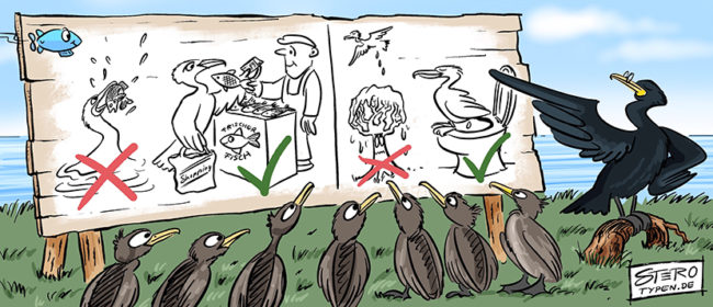 Cartoon zur Sitiuation um den Kormoran. Er jagt zu viel und sein Kot gefährdet Bäume. Daher gehen jetzt alle Kormorane in die Kormoranbenimmschule und lernen dort, wie man ordentlich Fisch einkauft und wie man ordentlich aufs Klo geht.