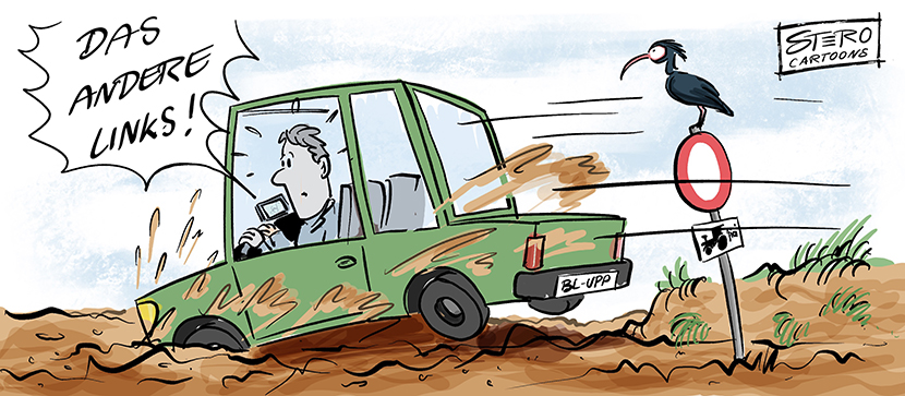 Cartoon: Ein Auto fährt volle Kanne in den Graben in den Matsch. Das Navigationsgerät sagt: das andere links.