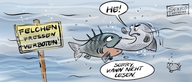 Cartoon zu Felchen Fischverbot. Ein Fisch, der nicht lesen kann, sieht nicht, dass man Felchen nicht fressen darf und versucht einen zu fressen.
