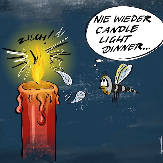Cartoon-Karikatur-Comic: Eine traurige Mücke schwirrt vor einer Kerze, in der ihr Partner gerade verbrannt ist und denkt: nie wieder Candle Light Dinner.