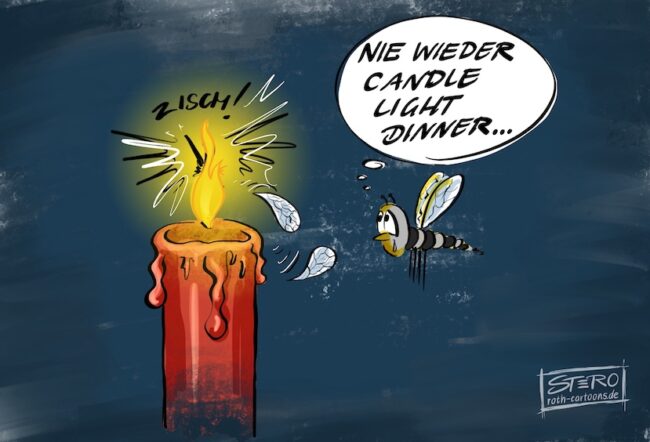 Cartoon-Karikatur-Comic: Eine traurige Mücke schwirrt vor einer Kerze, in der ihr Partner gerade verbrannt ist und denkt: nie wieder Candle Light Dinner.