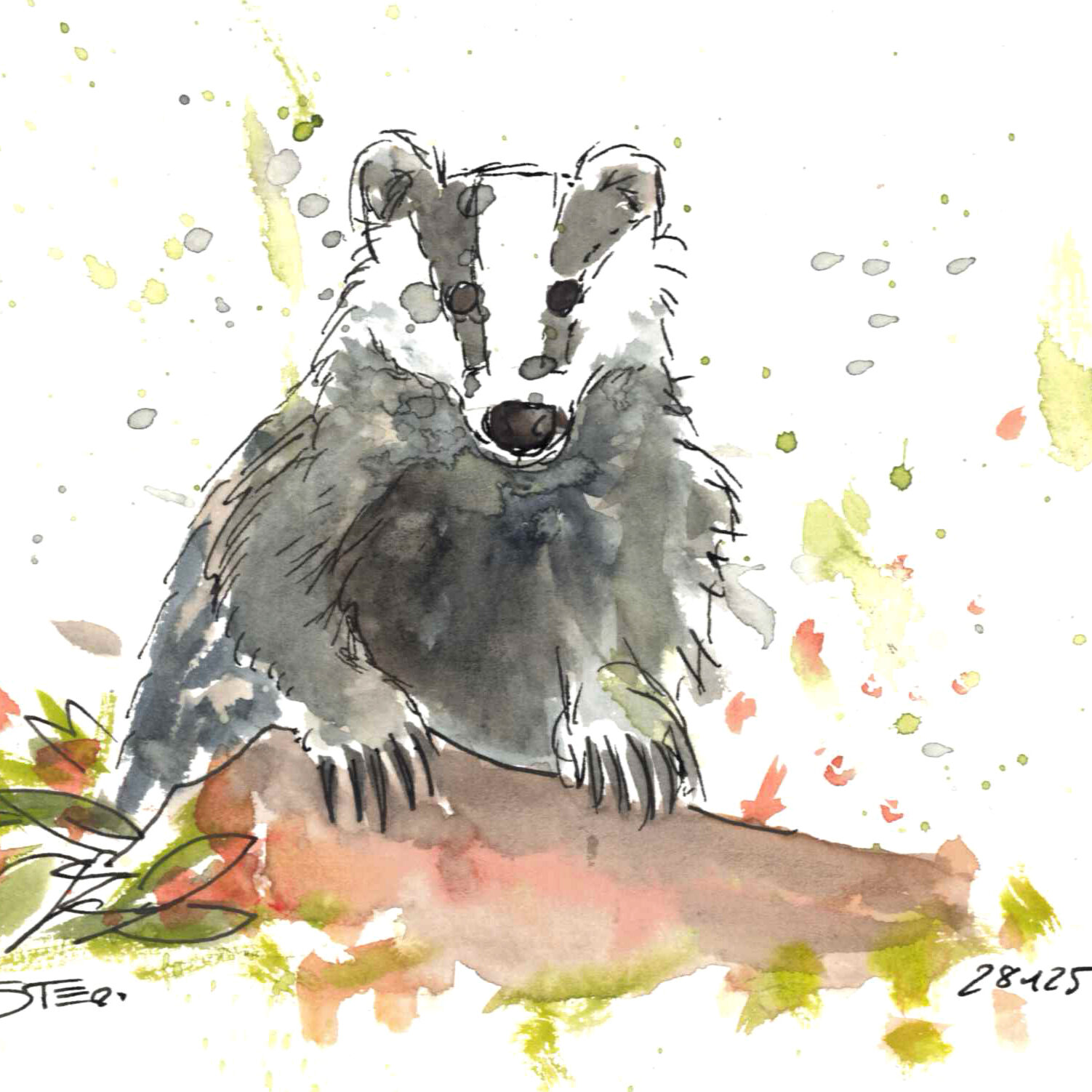 Ein spritziges Aquarell von einem Dachs