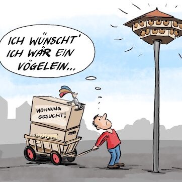 Cartoon-Karikatur-Comic: Ein Mann auf Wohnungssuche steht nachdenklich unter einer Nisthilfe für Mehlschwalben. Unzählige Wohnungen für Vögel und bei den menschen Wohnungsnot