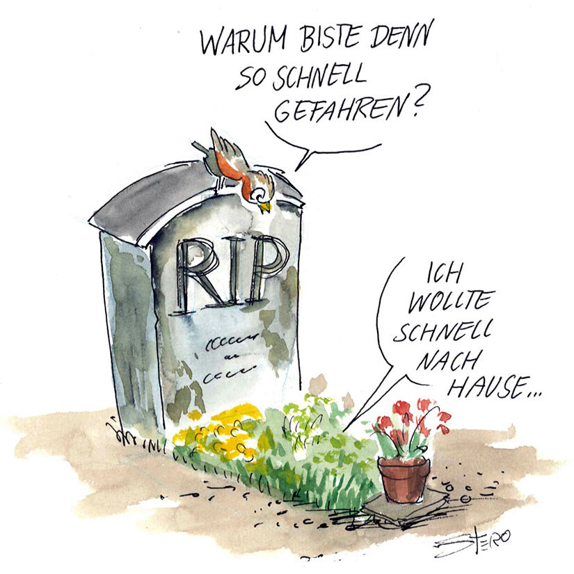 Cartoon-Karikatur-Comic: Ein vogel sitzt auf einem Grabstein eines Verkehrstoten und unterhält sich mit dem Verstorbenen. Er fragt: Warum bist du denn so schnell gefahren? Aus dem Grab kommt die Antwort: Ich wollte schnell nach Hasue.
