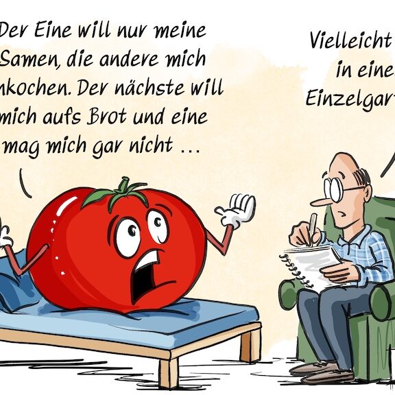 Cartoon-Karikatur-Comic: Eine Tomate sitzt beim Psychotherapeuten auf der Liege und klagt: Der eine will nur meine Samen, die andere will mich einkochen. Der nächste will mich aufs Brot und eine mag mich gar nicht ...