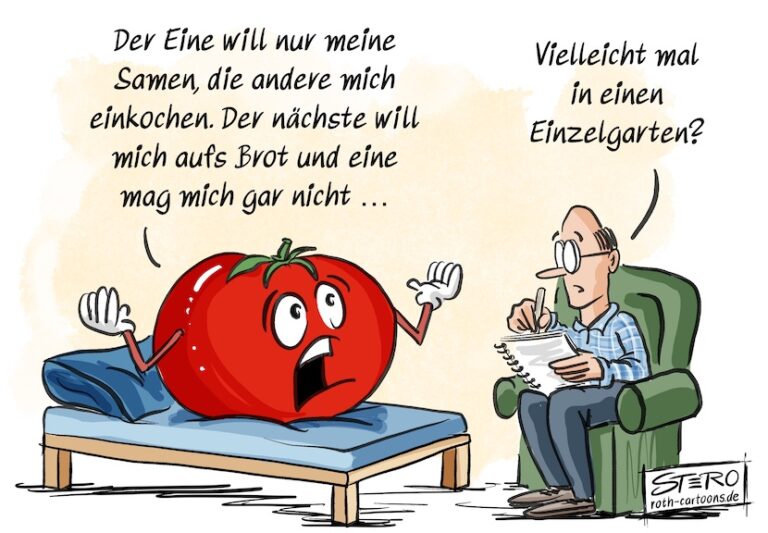 Cartoon-Karikatur-Comic: Eine Tomate sitzt beim Psychotherapeuten auf der Liege und klagt: Der eine will nur meine Samen, die andere will mich einkochen. Der nächste will mich aufs Brot und eine mag mich gar nicht ...