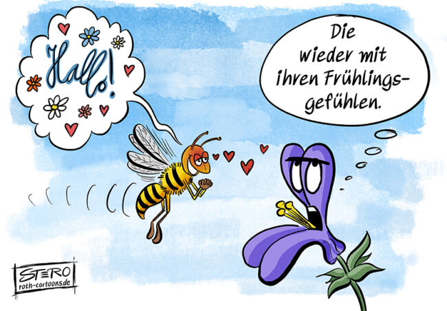Cartoon-Karikatur-Comic: Eine Biene mit verklärtem Blick und vielen Herzchen flirtet mit einer Blume, einem Lippenblütler. Diese sagt: die wieder, mit ihren Frühlingsgefühlen ...