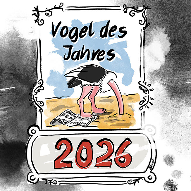 Cartoon-Karikatur-Comic: Der Vogel des Jahres als Vogel Strauß. Nach einem verheerenden Stromausfall in Berlin, der illegalen Annexion Venezuelas durch Trump bleibt einem nur noch den Kopf in den Sand zu stecken - wie der Vogel Strauß