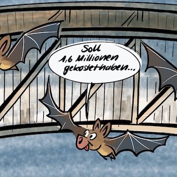 Cartoon: Drei Fledermäuse begutachten eine eigens für sie errichtete Brücke. Während eine das Bauwerk hübsch findet, weist die andere auf die Kosten von 1,6 Millionen Euro hin. Die entscheidende Frage bleibt jedoch: Für wen wurde die Brücke eigentlich gebaut?