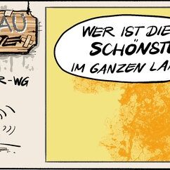Comic Strip „Grauzone“: Eine Seniorin fragt einen Smart Speaker, wer die Schönste im ganzen Land ist – das Gerät denkt nur: Jetzt bloß nichts Falsches sagen.