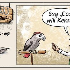 Comic Strip „Grauzone“: Opa hält einem Graupapagei einen Keks hin und will ihn „Coco will Kekse“ sagen lassen – der Vogel faucht: Bin ich Siri oder was?
