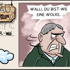 Comic Strip „Grauzone“: Ein grimmiger Mitbewohner vergleicht Walli mit einer Wolke – sie hofft auf weich und fluffig, er meint etwas ganz anderes.